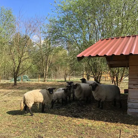 Vakantiehuis Ferienhaus Fur Bis Zu 4 Personen Zur Waldseite - #125063 *