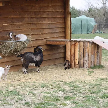 Ferienhaus Fur Bis Zu 4 Personen Zur Waldseite - #125063 Vakantiehuis *